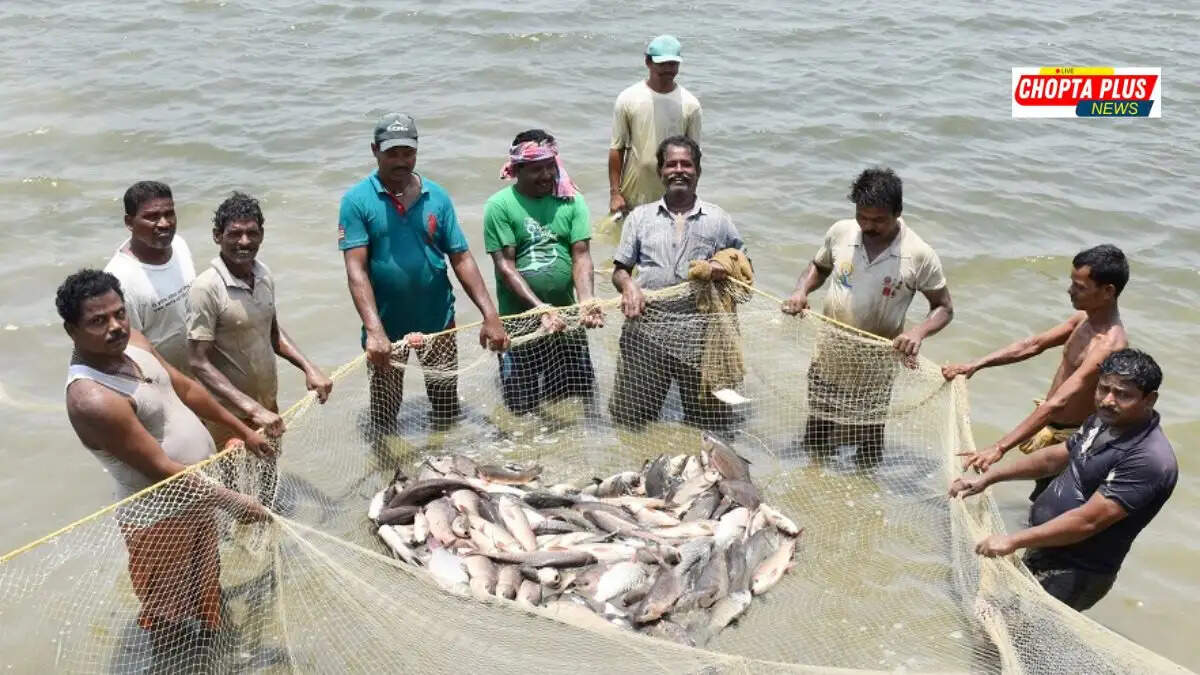 Haryana Fish Farming Subsidy Right to Service Act