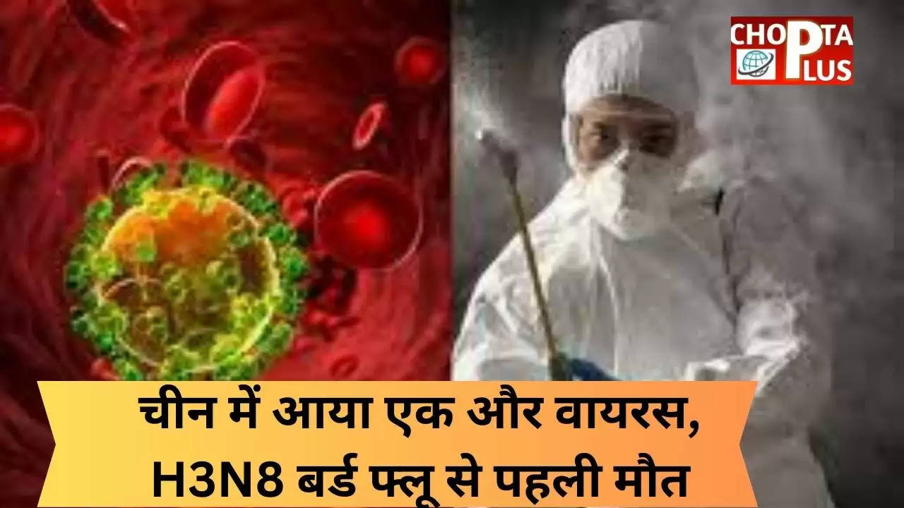 चीन में आया एक और वायरस, H3N8 बर्ड फ्लू से पहली मौत