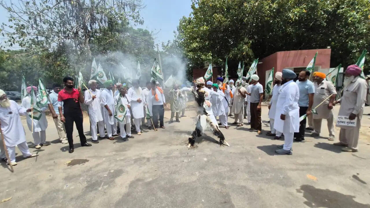 bke-farmers-burn-hooda-effigy-sirsa-news