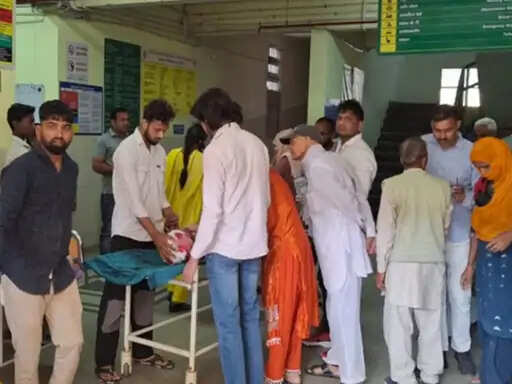 Bahadurgarh Road Accident Canter Crash