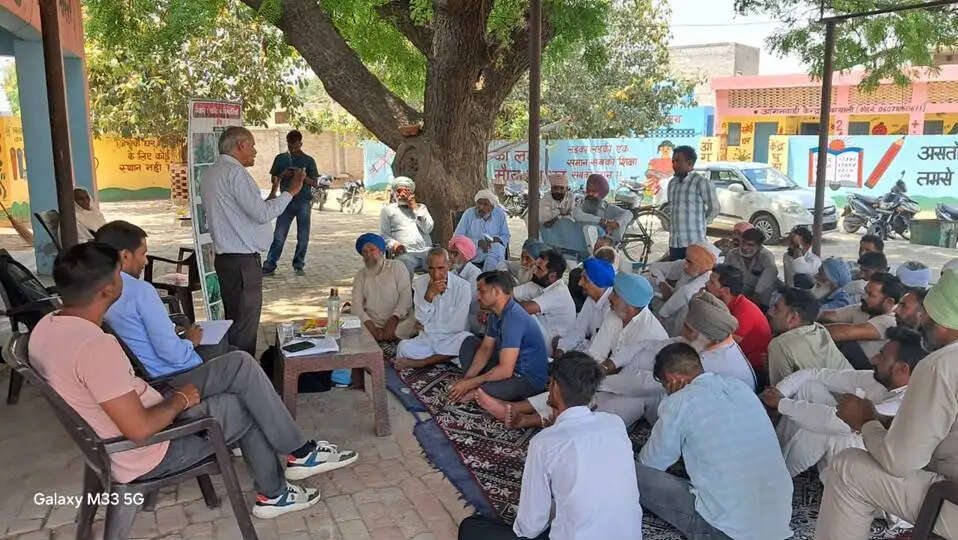Guar Farming Haryana ग्वार की बिजाई का सही समय और उन्नत किस्में