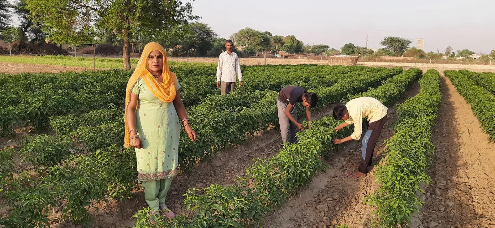Chopta Chak Village Woman Farmer Organic Vegetable Farming Success Haryana