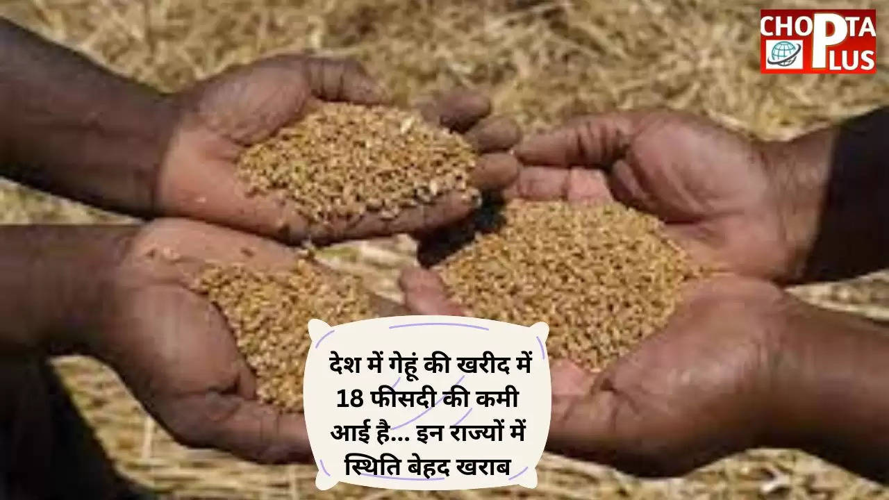 Wheat procurement figure has decreased in India