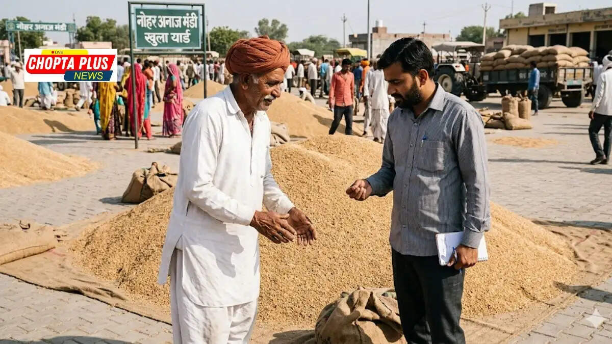 Nohar Mandi Rajasthan Crop Price Update Today