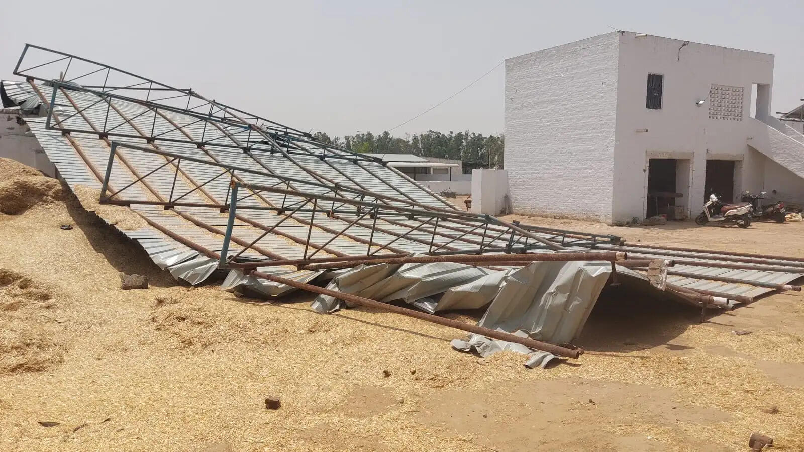 Collapsed Shed Sirsa Gaushala