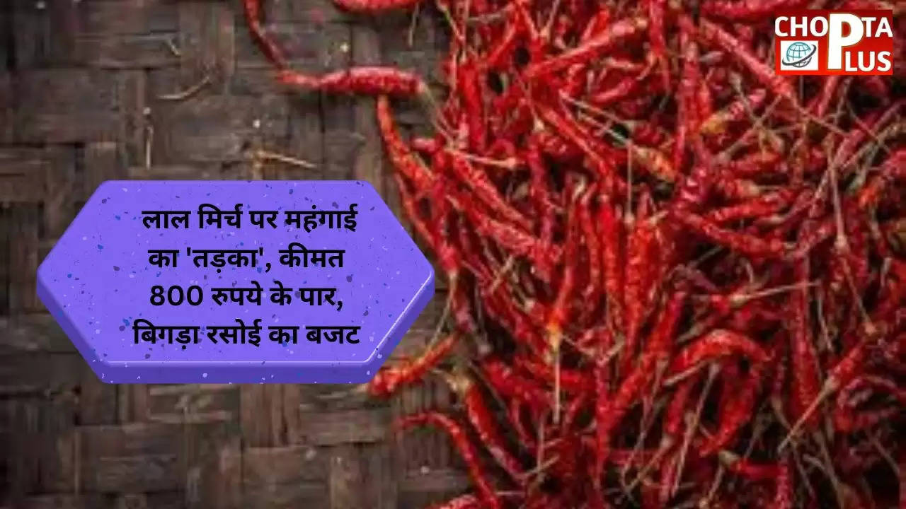 red chillies price