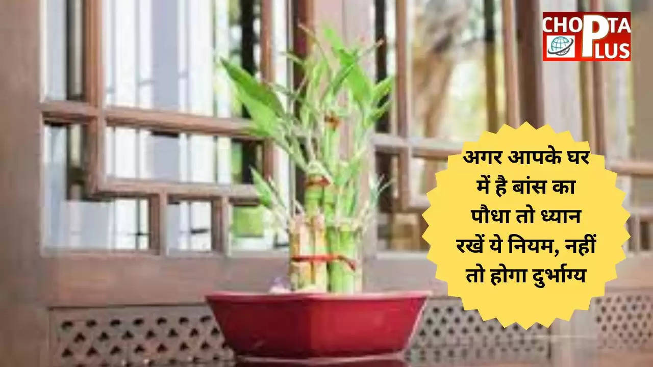 Vastu Tips: