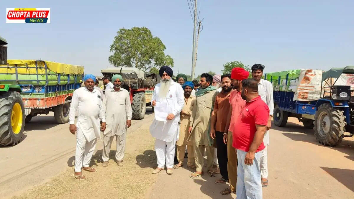 Sirsa Baragudha Mandi Wheat Procurement Issue
